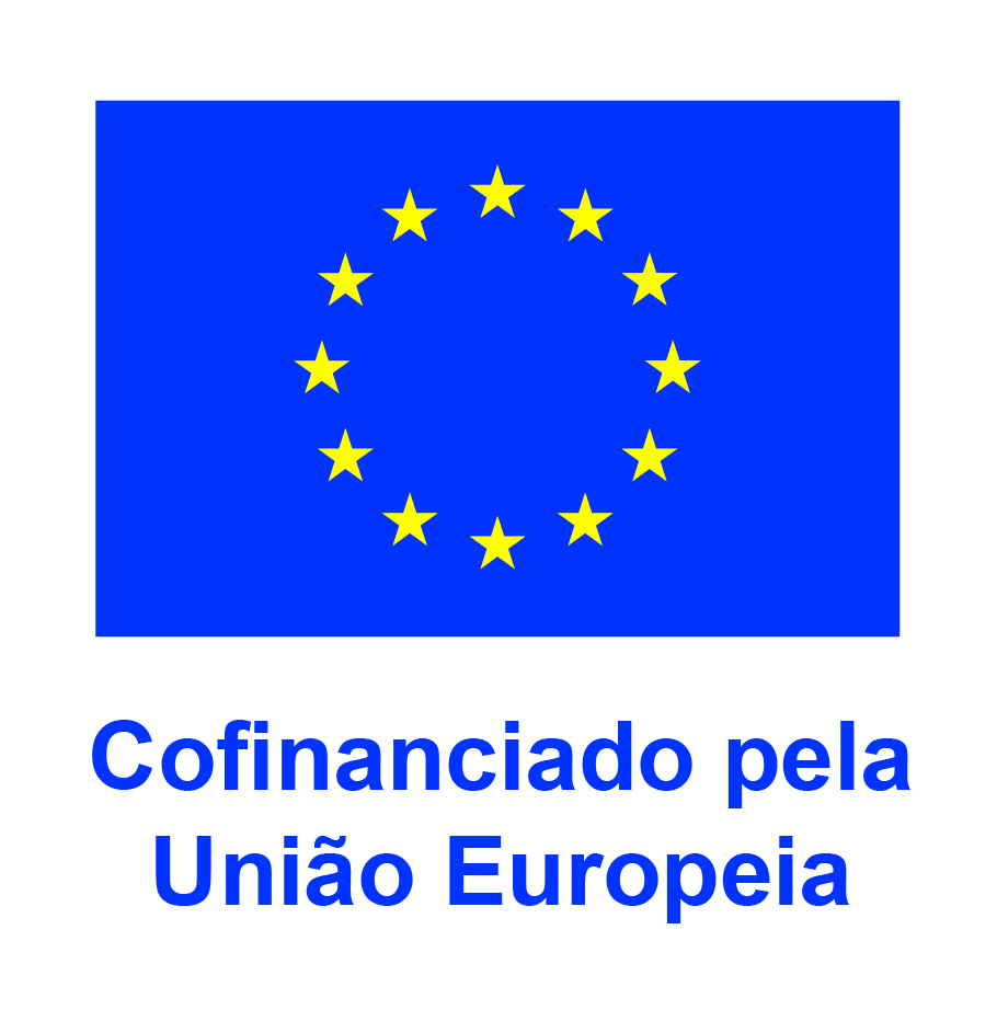 PT V Cofinanciado pela União Europeia_POS